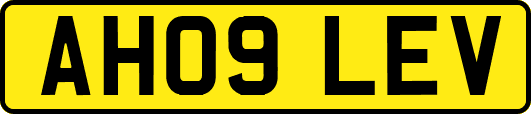 AH09LEV