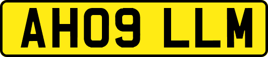 AH09LLM