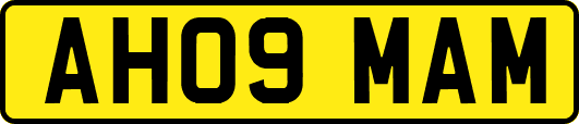 AH09MAM
