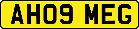 AH09MEG