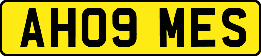 AH09MES