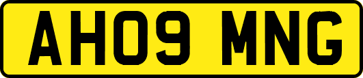 AH09MNG