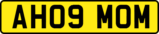 AH09MOM