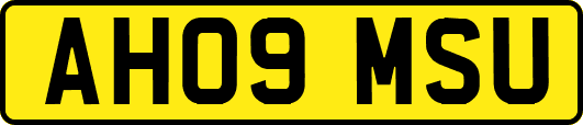 AH09MSU