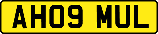 AH09MUL