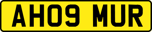 AH09MUR