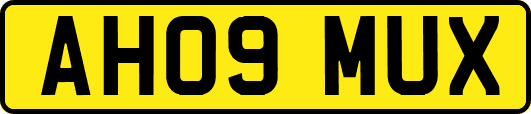 AH09MUX