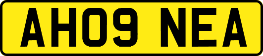 AH09NEA