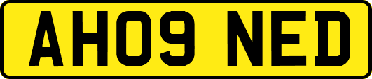 AH09NED