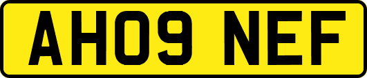 AH09NEF
