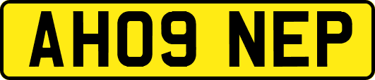 AH09NEP