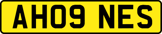 AH09NES