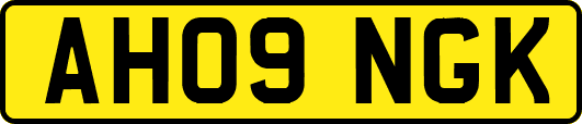 AH09NGK