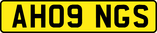 AH09NGS