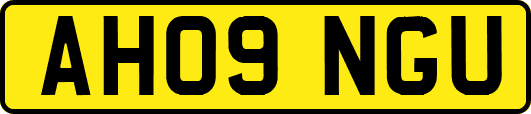 AH09NGU