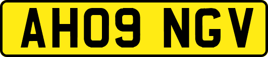 AH09NGV