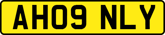 AH09NLY