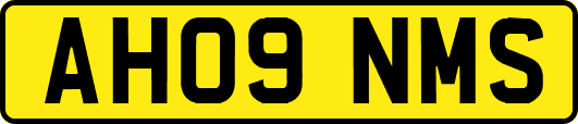 AH09NMS