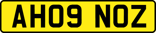 AH09NOZ