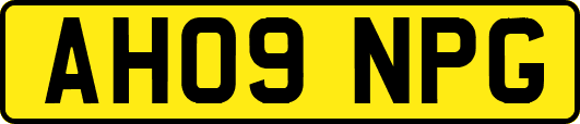 AH09NPG