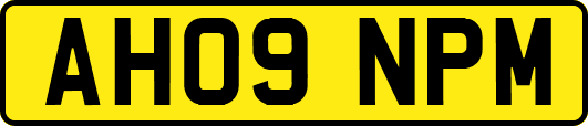 AH09NPM