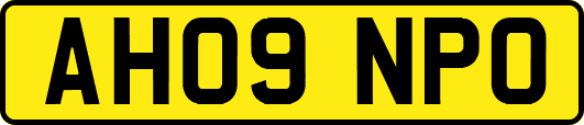 AH09NPO