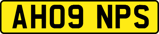 AH09NPS