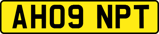 AH09NPT