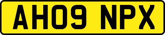 AH09NPX