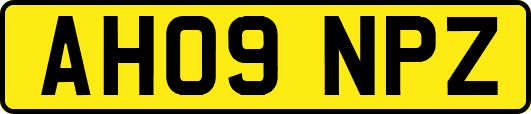 AH09NPZ
