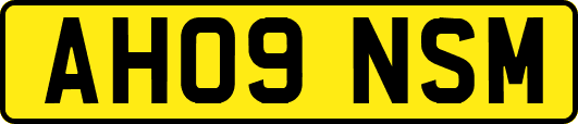 AH09NSM