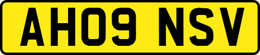 AH09NSV
