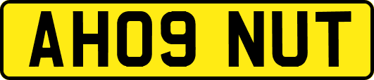 AH09NUT