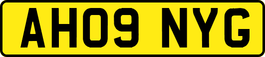 AH09NYG