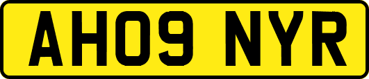 AH09NYR