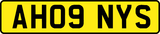 AH09NYS