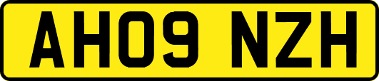 AH09NZH