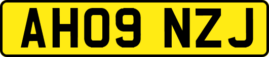 AH09NZJ