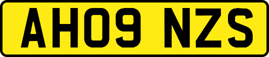 AH09NZS