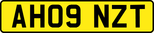 AH09NZT