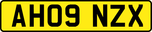 AH09NZX