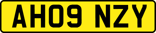 AH09NZY