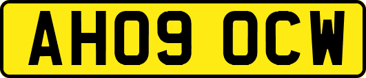AH09OCW