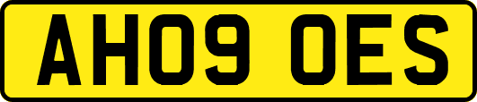 AH09OES