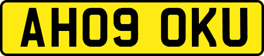 AH09OKU