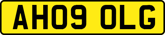 AH09OLG
