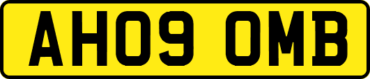 AH09OMB