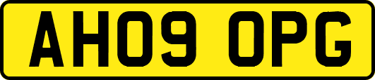 AH09OPG