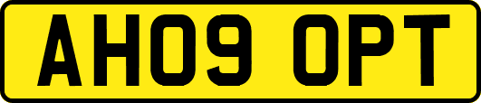AH09OPT