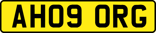 AH09ORG